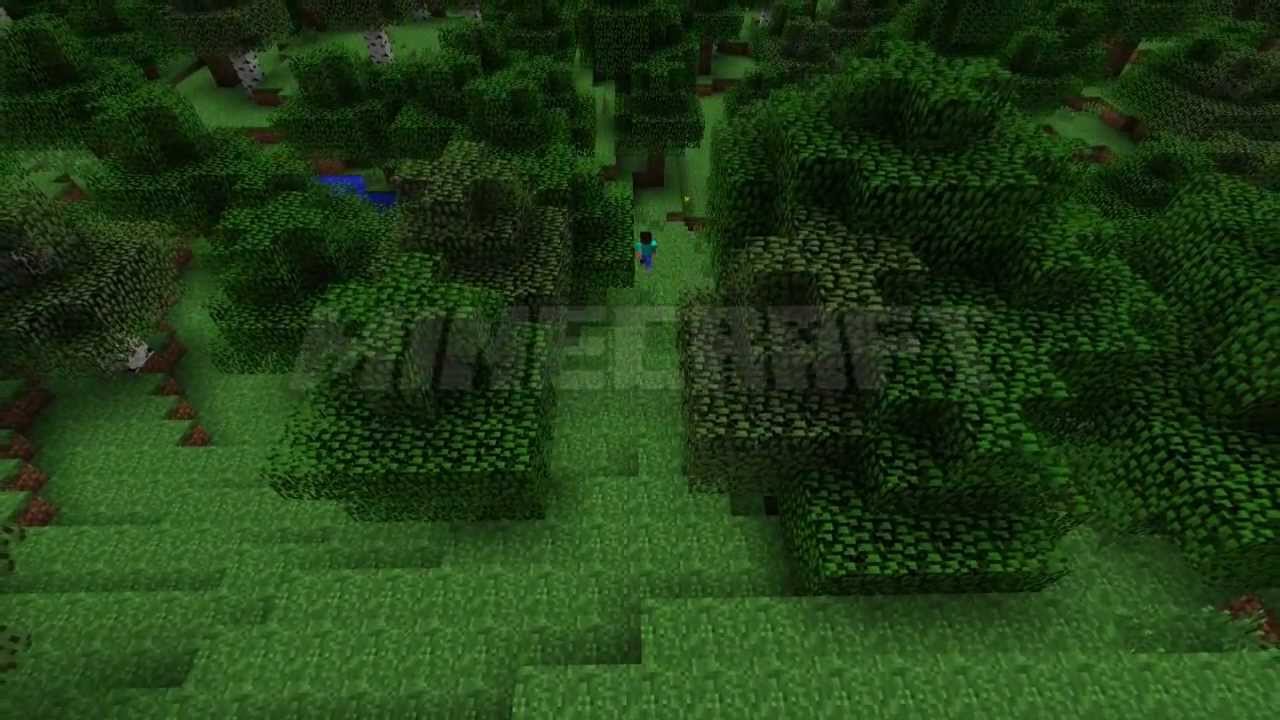 Minecraft